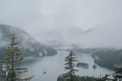 松树环湖鸟瞰图